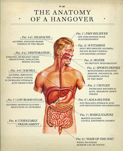 anatomy-of-hangover